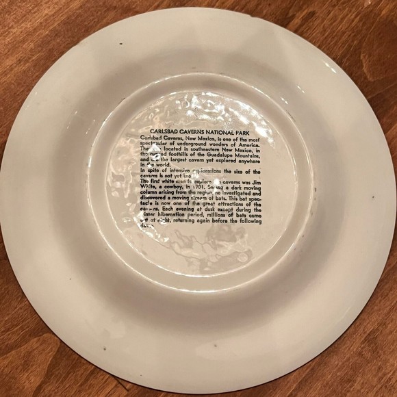 VTG Carlsbad Cavern New Mexico National Park Green White Collector Plate - Picture 10 of 12